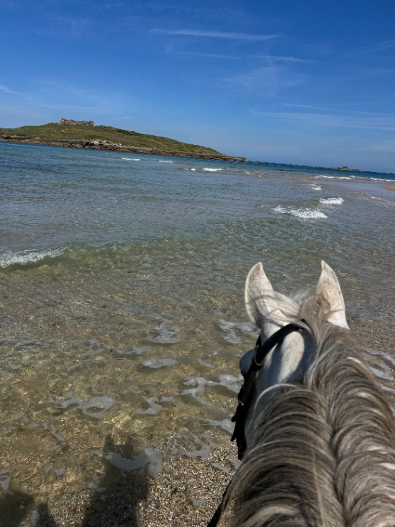 Alentejo Horse Trails