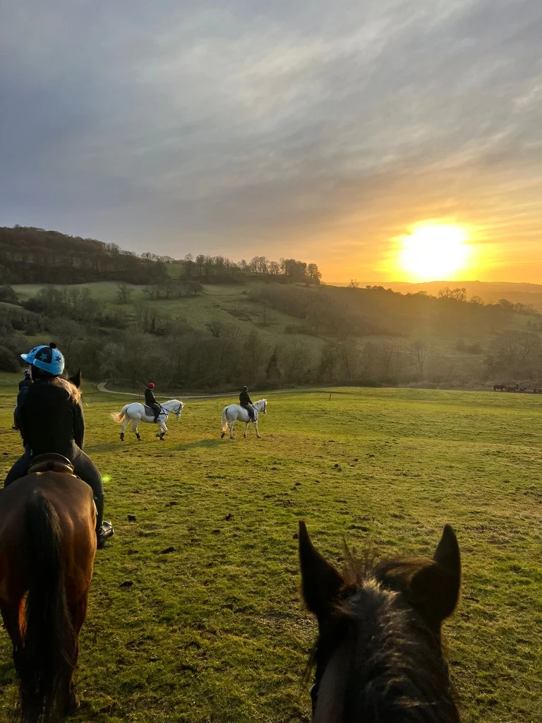 Cotswolds Riding at Jill Carenza Equestrian photo 1