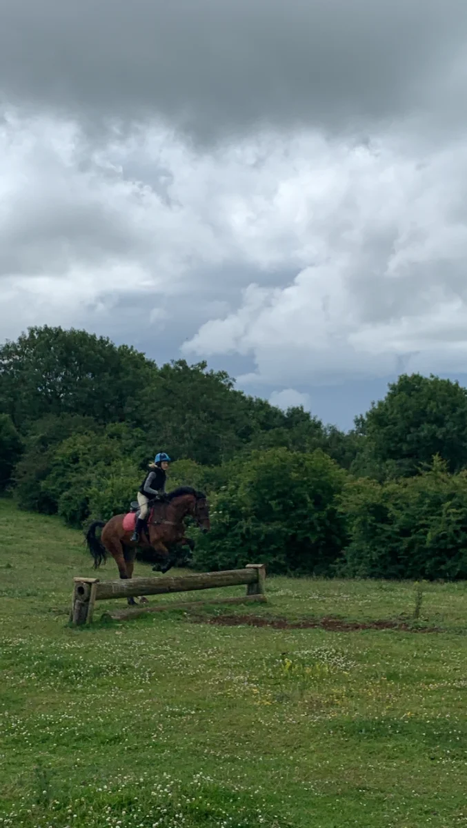 Cotswolds Riding at Jill Carenza Equestrian photo 2
